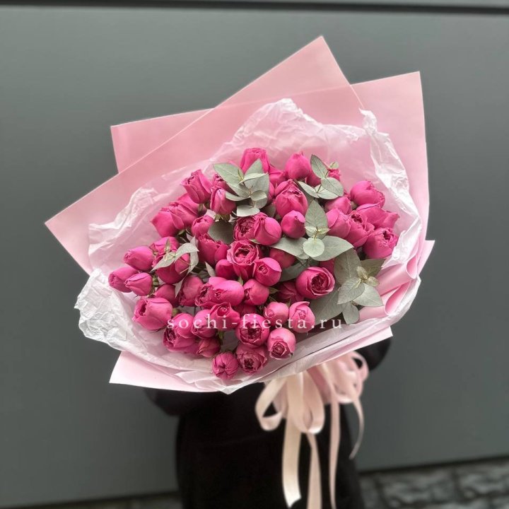 25 Мисти бабблс в Аланье